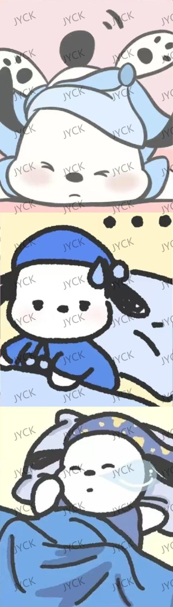 8097